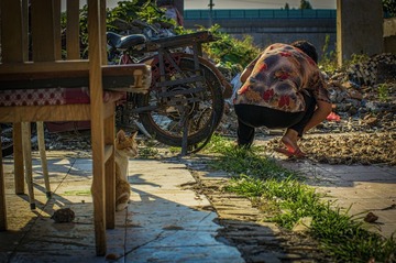 _IGP5440.jpg