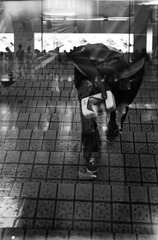 IMG_0008.jpg