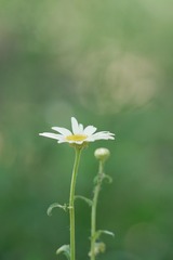 53430389-4801-47AE-A90F-528C36A454F4/L0/001