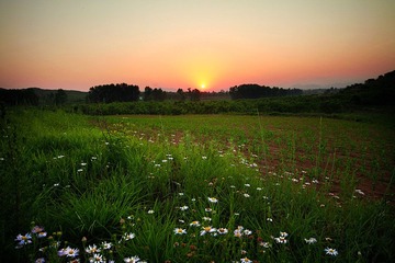 IMG_6999.jpg