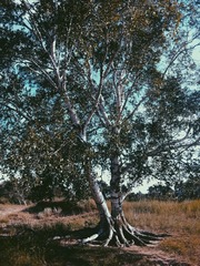 2014-07-22 170428