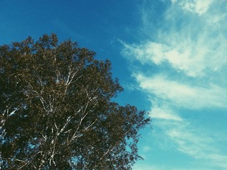 2014-07-22 170430