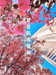 6102220D-94D3-4C8F-859C-8D56733B8457/L0/001