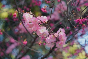 593CF7FD-8158-4341-BD24-76C922A30C7A/L0/001