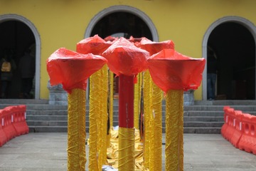 IMG_6330