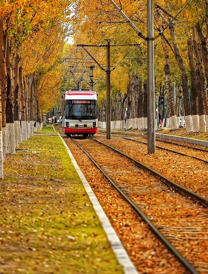长春有轨电车 - 摄影师草民164119202368871 - 图虫