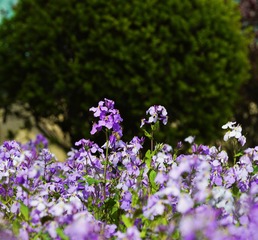 45F6966C-2A08-4C2B-B748-BE104C1E1F2E/L0/001