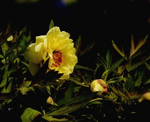 3F4EA512-5801-40C6-AFAF-D3B841A73A57/L0/001