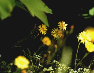 17FF6D71-49D0-4428-96BB-A21392ED1ACD/L0/001