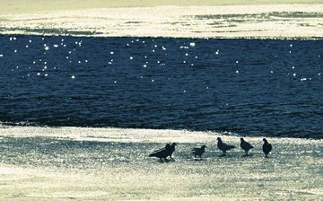 C0079BEE-B213-463B-86A0-129EE066BC16/L0/001