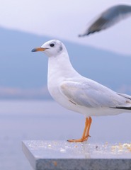 F6B867AB-7DB3-4F06-97BE-CEC6ABED64B5/L0/001