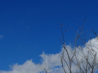 9BD1E5A2-D65B-4E48-9196-2FF270500857/L0/001