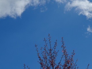 AE4E7D5B-78B2-4C8D-9575-473E620732FE/L0/001