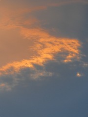 130095