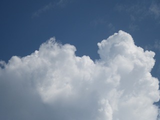 DF836B9E-0AEE-4B62-A24C-E6657F056597/L0/001