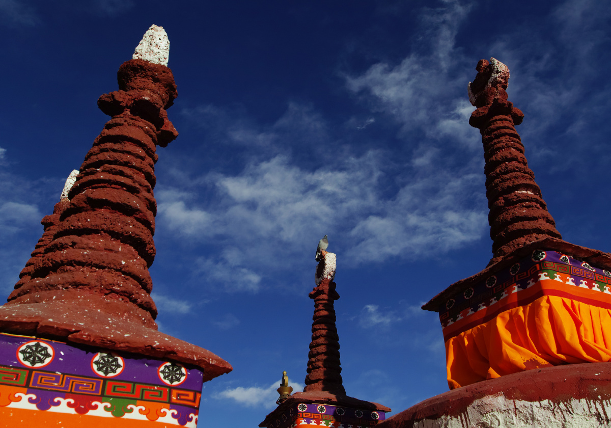 《光影中行走——夏寺佛塔上的鸽子》 - 光影中行走 - 图虫