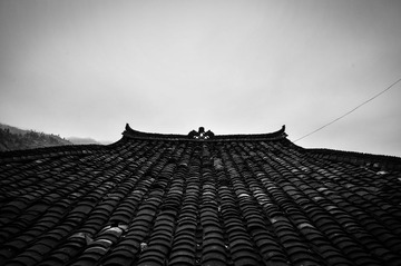 DSC_1817.jpg