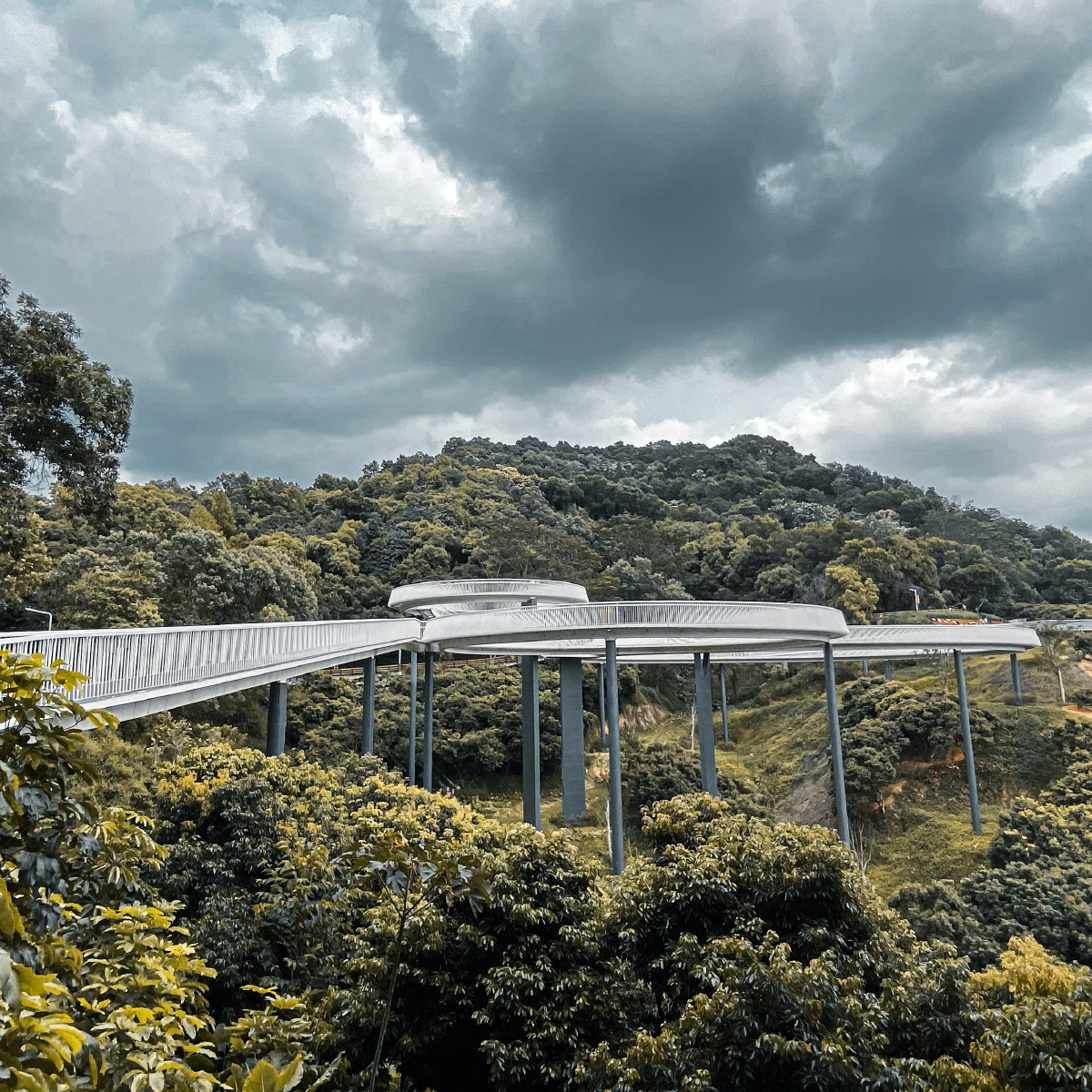 深圳大顶岭网红桥见证光明区的崛起深圳的后花园 #iphone11拍摄