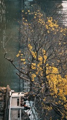 94528167-33F1-4840-805F-C17CBB2D4B63/L0/001
