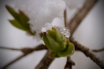 75AE2822-B772-48BC-A478-4CB8C22F0499/L0/001