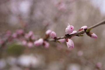 112669DB-B0B1-4295-897F-9A0B134902DF/L0/001