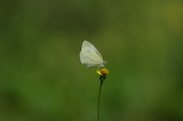 F75E557A-25FF-43C3-BE0F-FD9CFDF58650/L0/001
