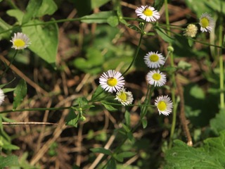 DD83C58A-5E7B-4D50-AA16-0CA22AA22F7D/L0/001