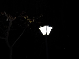 501D119A-F5CA-46F6-9EAB-25B0DF68B20C/L0/001