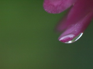 B4520968-0D20-4581-AA3C-AA619EB798BA/L0/001