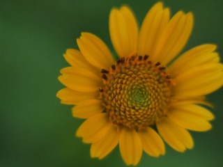 5BDC3A1E-E46A-4551-A535-EFB012EB69F4/L0/001