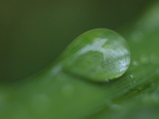 03947D02-5415-4FAE-8A2E-1E50948804AB/L0/001