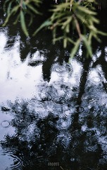 82C13E50-F36D-4A94-8260-7A5AF68C2CA0/L0/001
