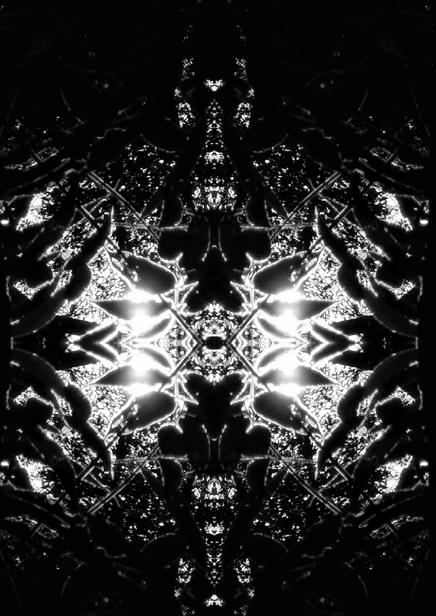 混沌天穹是背光树叶通过变形而来呈现魔幻的效果