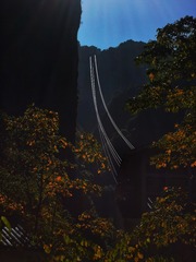 1444625