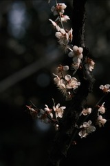 4F8070B1-F2A9-4D70-BBD8-C4E7F52B590B/L0/001