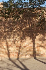 SAM_0040