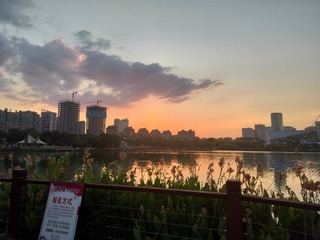 IMG20240723191710