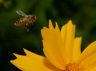 DSC_0091-2