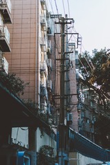 1000678725