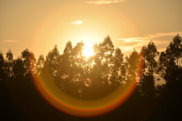 BD1FFB3C-30AF-4986-8AE2-E17165EDBBFF/L0/001