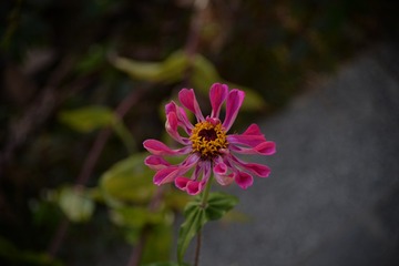 C81FD4BB-E3B4-4AED-B979-FF46E9A029E0/L0/001