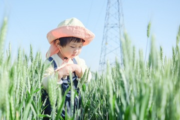 30FE9833-730C-4CB0-B557-6DF9311F229F/L0/001