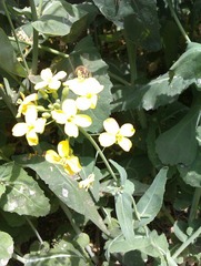 IMAG0228.jpg