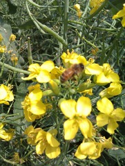 IMAG0229.jpg