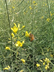 IMAG0231.jpg