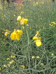 IMAG0235.jpg