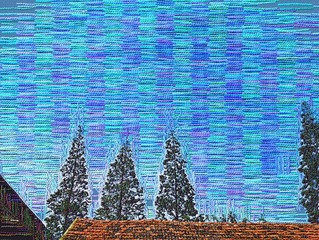 IMAG0240.jpg