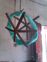IMAG0224.jpg