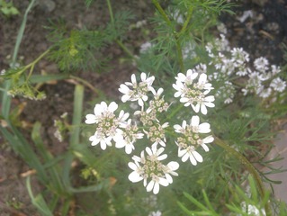 IMAG0254.jpg