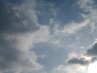 IMAG0271.jpg